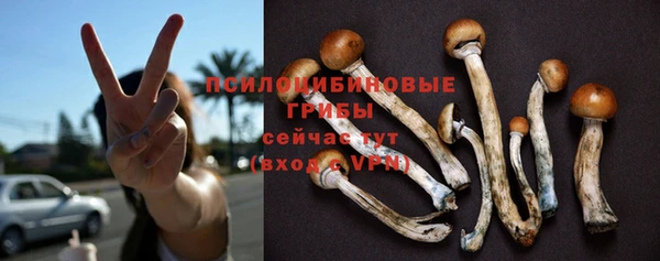 прущая мука Майский