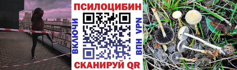 Псилоцибиновые грибы мицелий  Невельск 